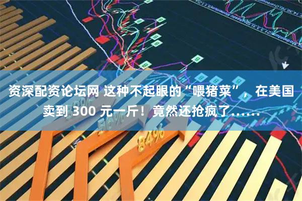 资深配资论坛网 这种不起眼的“喂猪菜”，在美国卖到 300 元一斤！竟然还抢疯了……