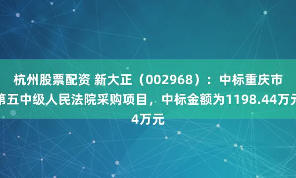 杭州股票配资 新大正（002968）：中标重庆市第五中级人民法院采购项目，中标金额为1198.44万元