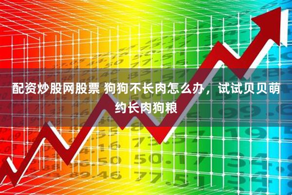 配资炒股网股票 狗狗不长肉怎么办，试试贝贝萌约长肉狗粮
